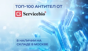 Антител много не бывает!
